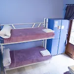 White Nest *