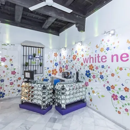 Albergue White Nest *