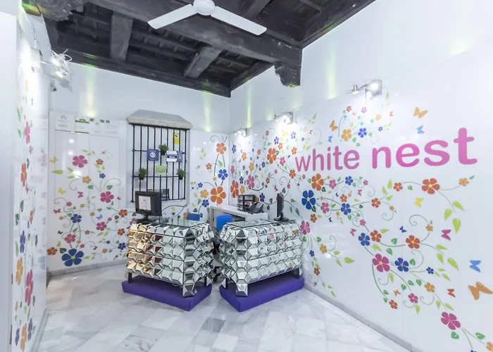 אכסניה White Nest