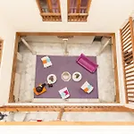 White Nest