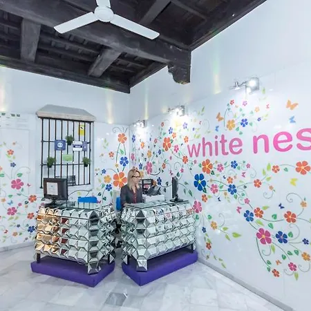White Nest Hostel