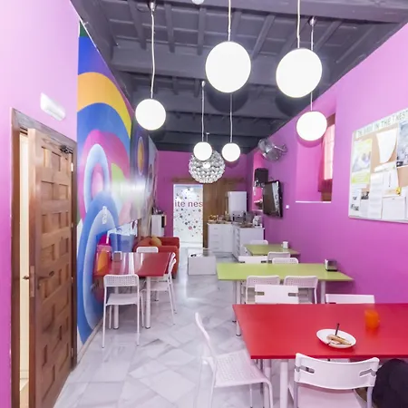 Vandrarhem White Nest *